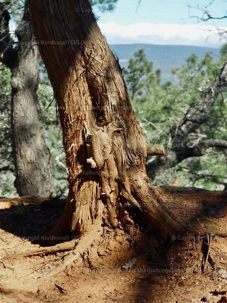 IMG_2881 | OLYMPUS DIGITAL CAMERA          - Realisiert mit Pictrs.com