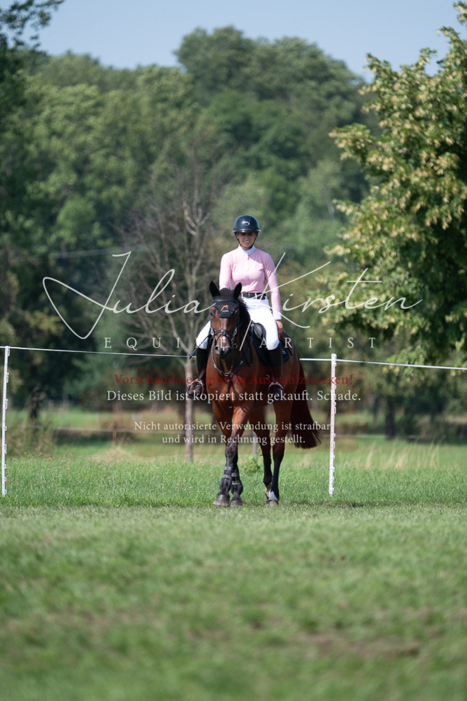 DSC_0589 | Pferde- und Turnierfotografie in Westsachsen. Pferdeportraits, Auftragszeichnungen und intuitive Kunst.