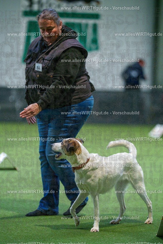 7R503325 | Professionelle Tierfotografie in Mönchengladbach von Daniel Wirth (allesWIRTHgut). Liebevolle & natürliche Bilder von Hunden & Katzen für unvergessliche Erinnerungen.
