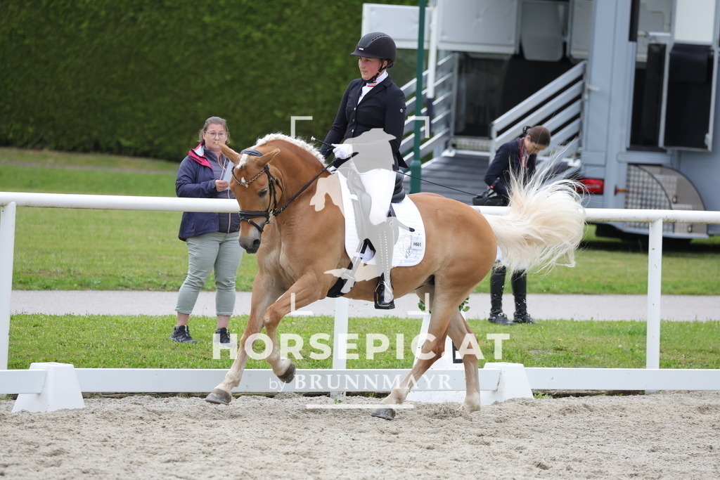 0P6A6877 | Willkommen bei Brunnmayr - Design & Fotografie – Ihrem Spezialisten für Reitturniere und Pferdeveranstaltungen in Oberösterreich, Salzburg und Bayern! Seit über 17 Jahren sind wir leidenschaftlich dabei.