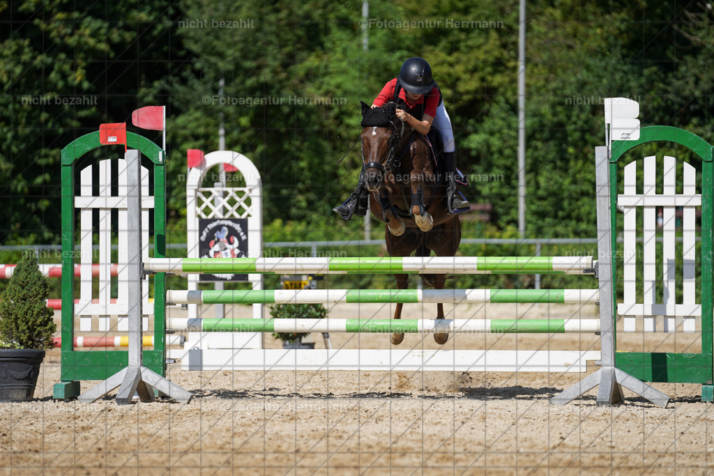 20240824-FAH08337 | Thierhaupten 2024, Bayerisches Landesponyturnier, Turnierbilder, Ponybilder, Turnierfotografen Bayern, Fotoagentur Herrmann