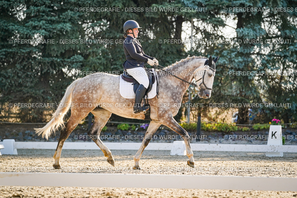 DSC08587 | Pferdegrafie