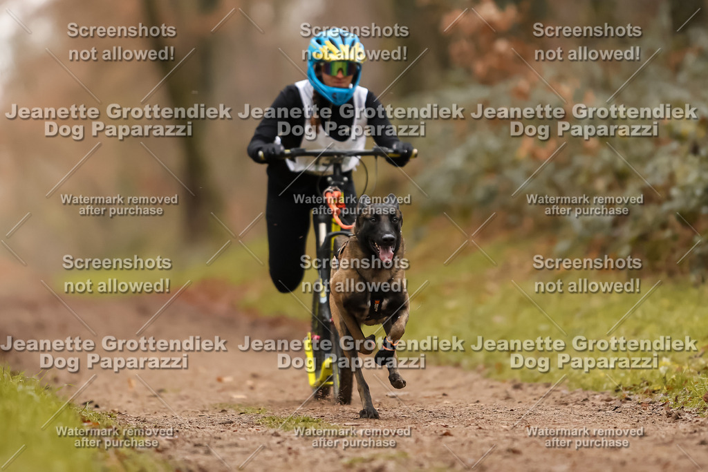 Dog Paparazzi - Speedhunter Mannheim  2025-418 | Dog Paparazzi Jeanette Grottendiek Fotografie & Videografie