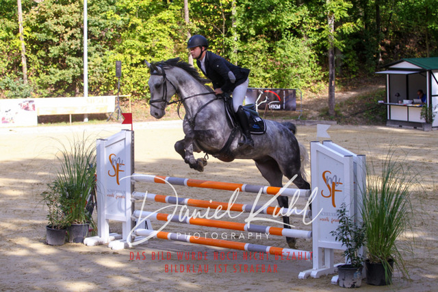 DKP42390 | Deine Turnierfotos vom Reitturnier online kaufen: Dressur, Springen & Siegerehrung. Professionelle Pferdefotografie aus dem Rheinland – als Download & Print.Alternative: Turnierfotograf für den Pferdesport: Finde deine Fotos von Dressur- und Springturnier