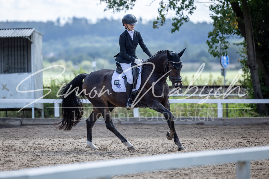 20260905-_3LI8311 | Tierfotografie Pferde, Hunde, Katzen, Haustiere.
Turnierfotografie Reitturniere, Reiten, Springreiten, Dressur in Hanau, dem Main-Kinzig-Kreis und dem Rhein-Main- Gebiet um Frankfurt