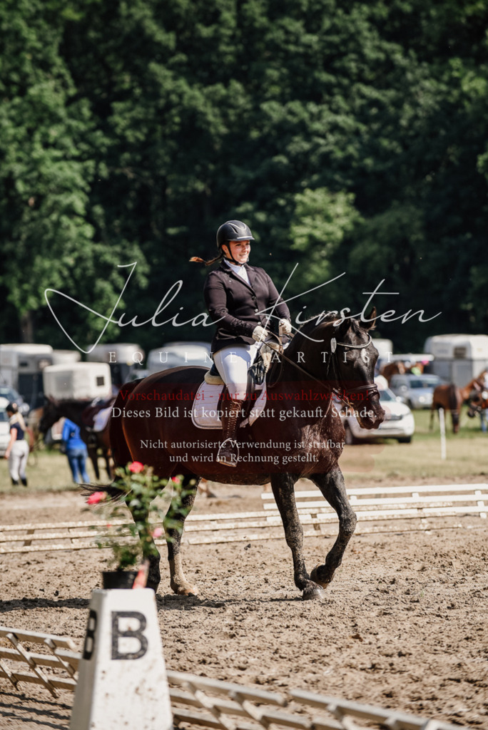DSC_0202 | Pferde- und Turnierfotografie in Westsachsen. Pferdeportraits, Auftragszeichnungen und intuitive Kunst.