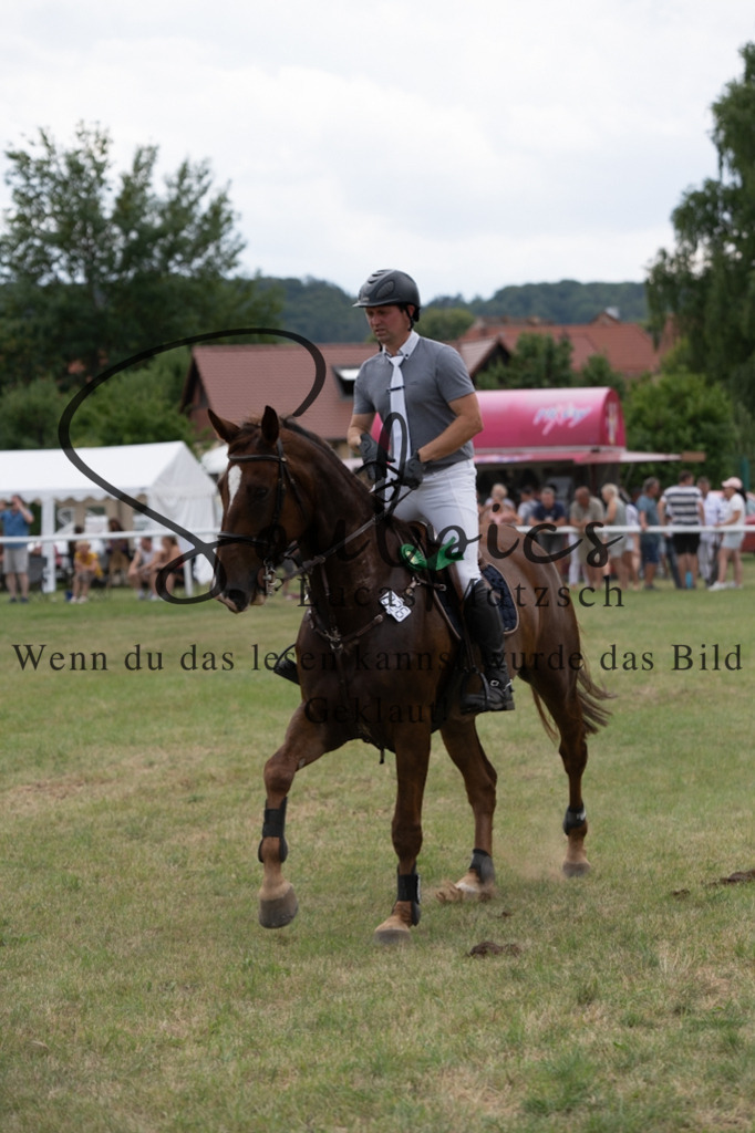 A7V02159 | Pferdefotograf