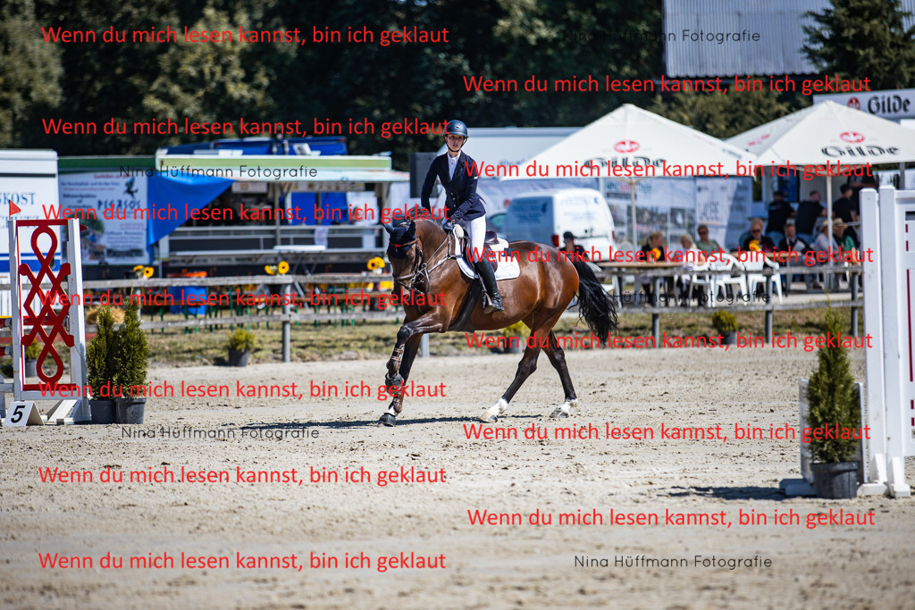 BK1A5455 | Turnierbilder Turnierfotos Nina Hüffmann Turnierfotografie Pferdefotografie Tierzeichnung Haustierzeichnung Pferdezeichnung Hundezeichnung Videograf  - Realisiert mit Pictrs.com