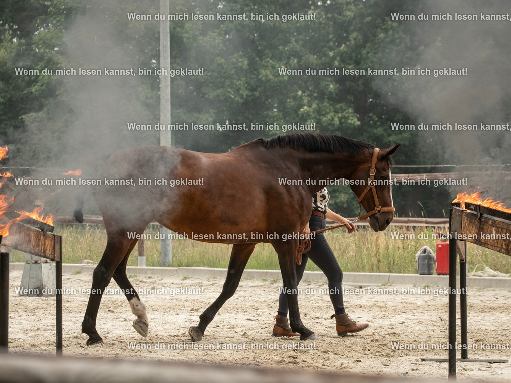 598A7020 | photographylinaismer - Realisiert mit Pictrs.com