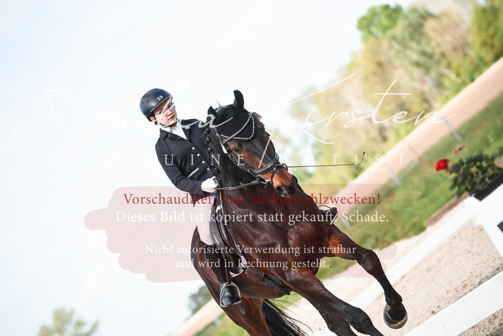 20230518_JK-Röhrsdorf-12-0737 | Pferde- und Turnierfotografie in Westsachsen. Pferdeportraits, Auftragszeichnungen und intuitive Kunst.