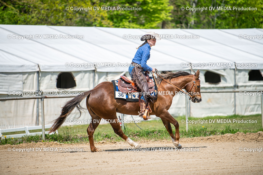 Heiligenwald Tag 3-1376 | dv-media-shop - Realisiert mit Pictrs.com