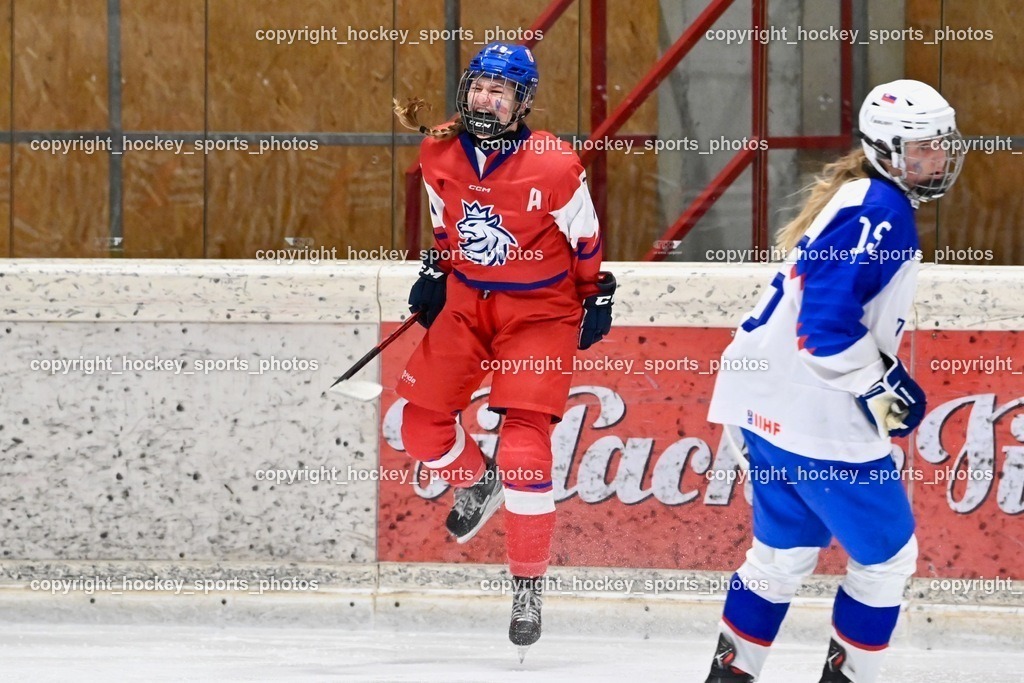 BST_5792 | hockey sports photos, Pressefotos, Sportfotos, hockey247, win 2day icehockeyleague, Handball Austria, Floorball Austria, ÖVV, Kärntner Eishockeyverband, KEHV, KFV, Kärntner Fussballverband, Österreichischer Volleyballverband, Alps Hockey League, ÖFB, 