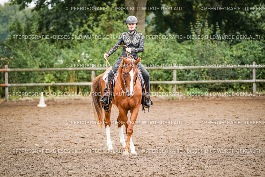 DSC02455 | Pferdegrafie