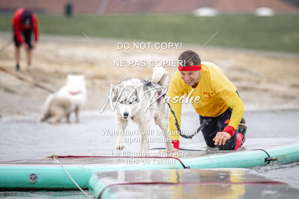 nelerasche_Hulsbeek_Sa1030-1100_279 | nelerasche