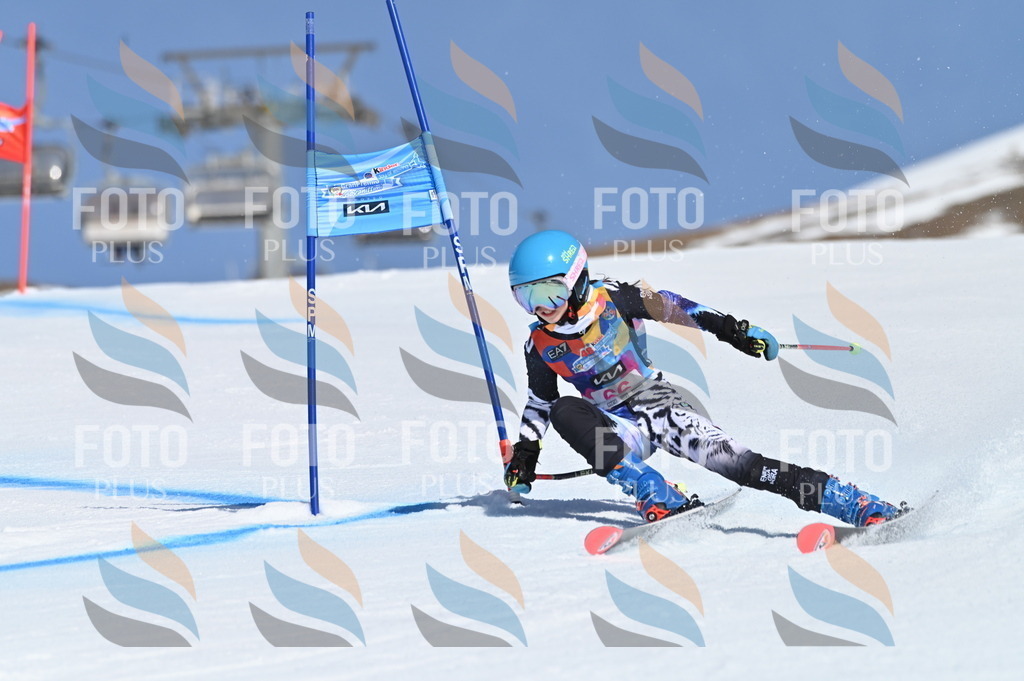 BGV_8834 | holidayphoto