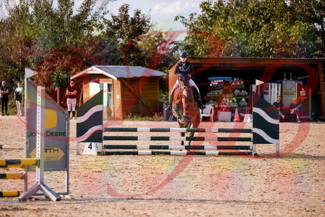 2026_10_03_Siefer-Hof_154648_Z81_65650631 | Professionelle Reitsport-, Turnier- und Eventfotografie von Robert Broda. Galerien mit ausgewählten und bearbeiteten Bildern direkt online ansehen und bestellen.
