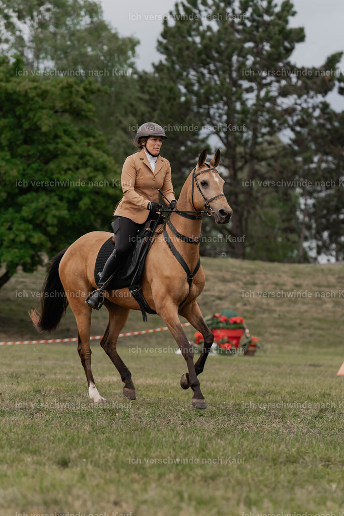 Showprogramm-319 | working equitationturnier fotograf videograf stoibphotography marixx film working equitation deutschland reitsport turnierfotografie eventfotografie equestrian events