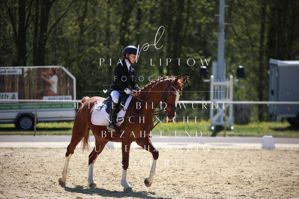 IMGT0595 | pl-fotografie