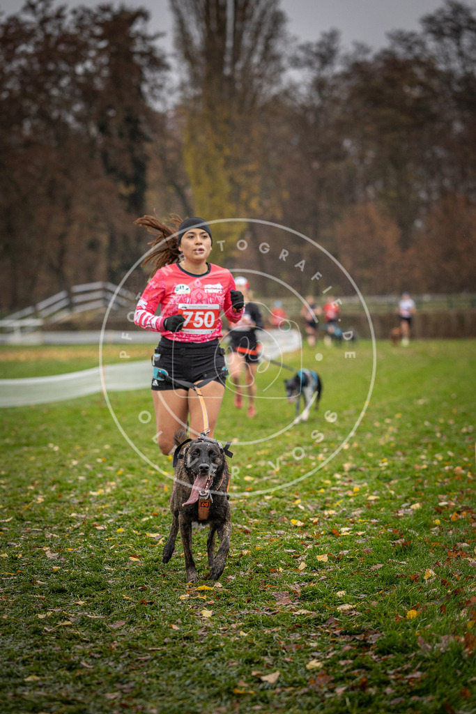 CaniXpix_DV3A9316 | Hundefotografie, Tierfotograf, Pfotenfotografie, Fotoshooting Hund, Hunde Portrait, Hundesport, Hundeportraits, Heideshooting, Hunde, Sportfotograf, Hundefotograf, Turnierhundsport, THS,  - Realisiert mit Pictrs.com