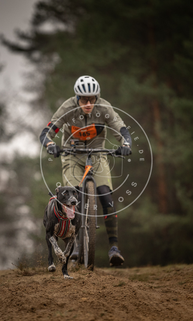 Pfotenfotografie_DV3A4385 | Hundefotografie, Tierfotograf, Pfotenfotografie, Fotoshooting Hund, Hunde Portrait, Hundesport, Hundeportraits, Heideshooting, Hunde, Sportfotograf, Hundefotograf, Turnierhundsport, THS,  - Realisiert mit Pictrs.com