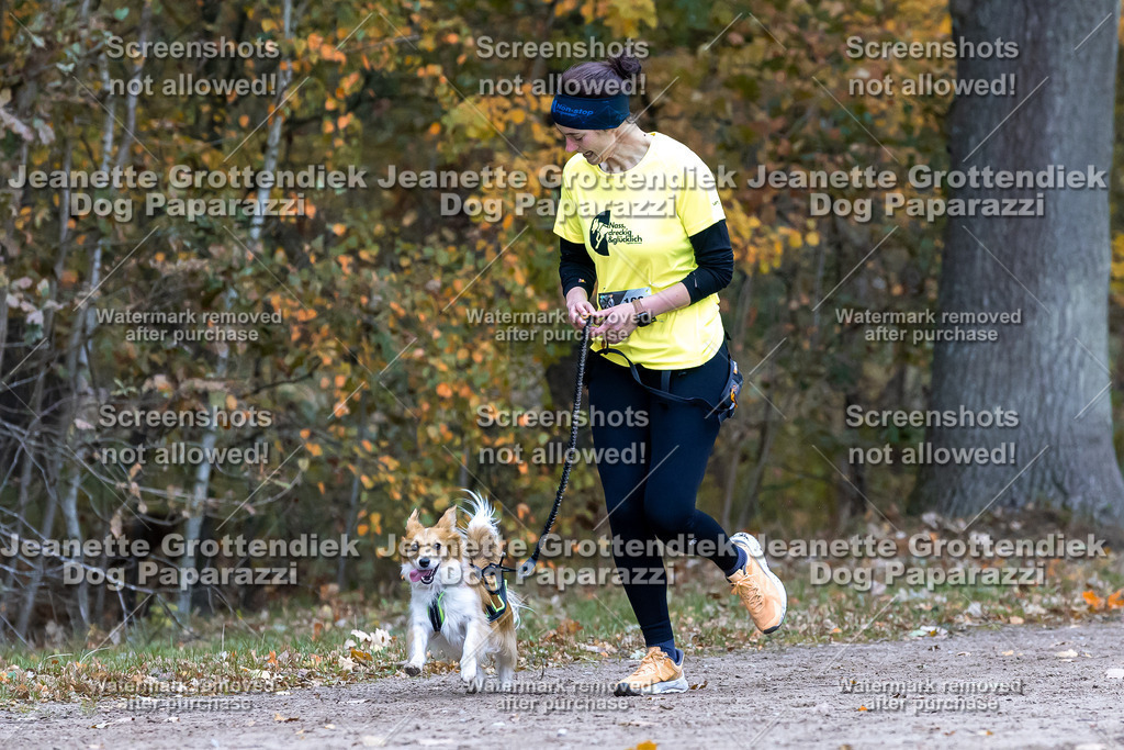 Dog Paparazzi - SD CaniX Championship 2025-640 | Dog Paparazzi Jeanette Grottendiek Fotografie & Videografie - Realisiert mit Pictrs.com