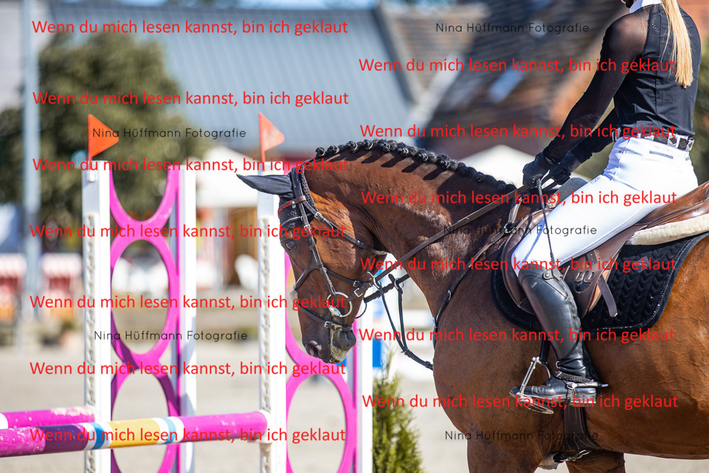 BK1A7135 | Turnierbilder Turnierfotos Nina Hüffmann Turnierfotografie Pferdefotografie Tierzeichnung Haustierzeichnung Pferdezeichnung Hundezeichnung Videograf  - Realisiert mit Pictrs.com