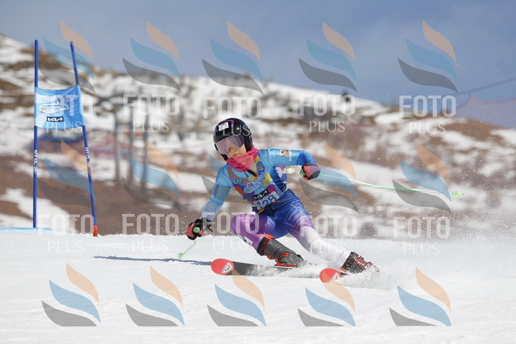 _U3G0837 | holidayphoto