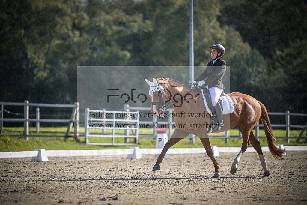 DOS_1610 | Entdecke hochwertige Reitturnierfotos von Foto Oger. Professionell, emotional und authentisch – jetzt Lieblingsmomente im Shop bestellen.Deutschlandweite Turnierfotografie. - Realisiert mit Pictrs.com