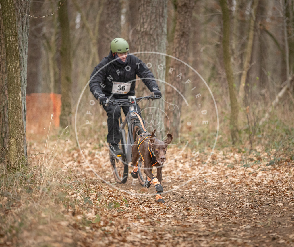 Pfotenfotografie_DV3A0020 | Hundefotografie, Tierfotograf, Pfotenfotografie, Fotoshooting Hund, Hunde Portrait, Hundesport, Hundeportraits, Heideshooting, Hunde, Sportfotograf, Hundefotograf, Turnierhundsport, THS,  - Realisiert mit Pictrs.com
