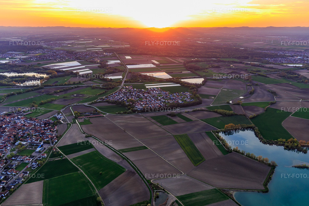 Luftbild: Sonnenuntergang in der Rheinebene im Ortsteil Hardtwald in Neupotz im Bundesland Rheinland-Pfalz in Deutschland. Foto: IMG_106674.jpg vom 17.04.2018 durch Werner Riehm/FLY-FOTO.de