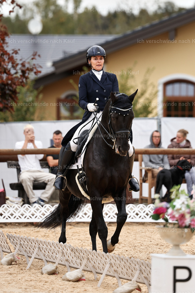 11-194-Dressur S___-StoibPH-1457 | working equitationturnier fotograf videograf stoibphotography marixx film working equitation deutschland reitsport turnierfotografie eventfotografie equestrian events