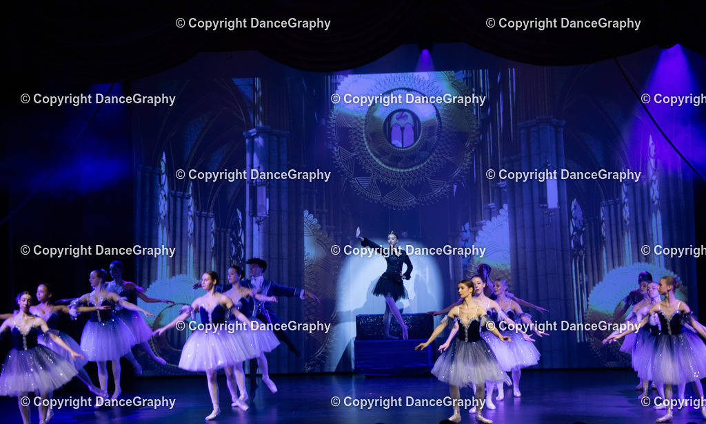 GPHY1649 | DanceGraphy - Realisiert mit Pictrs.com