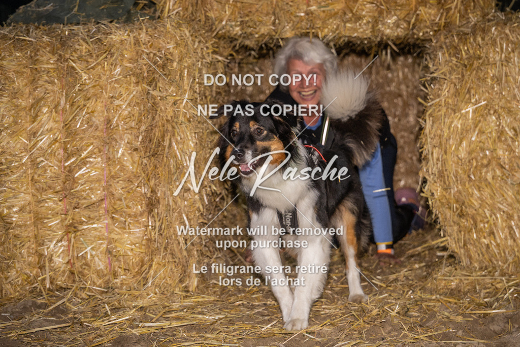 nelerasche_FrNacht_261 | nelerasche