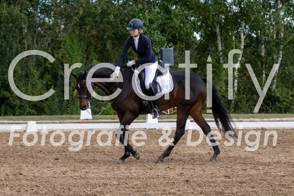 IMG_5482 | Creatify Fotografie