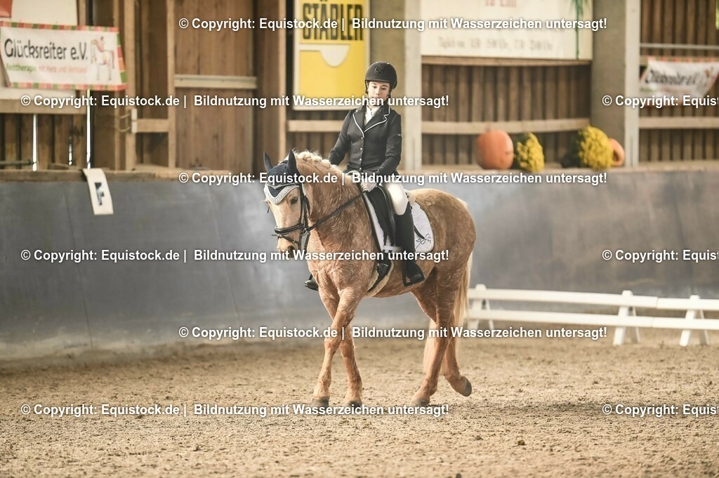 03_Reiter-WB_0296 | Foto: Thomas Hartig