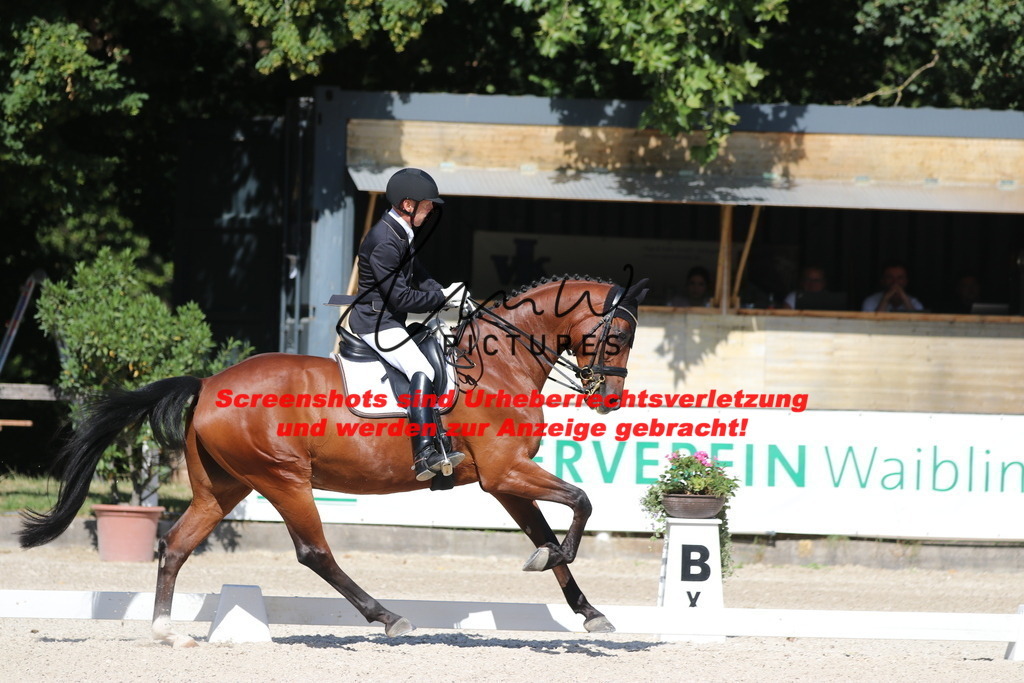 IMG_5514 | lmwpictures - Realisiert mit Pictrs.com