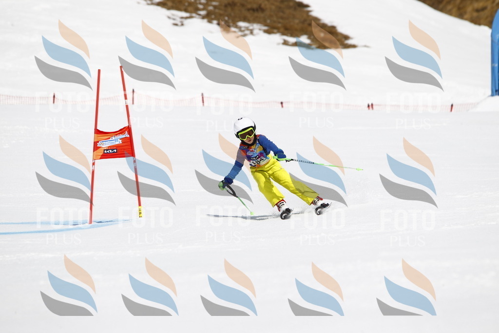 _U3G4825 | holidayphoto