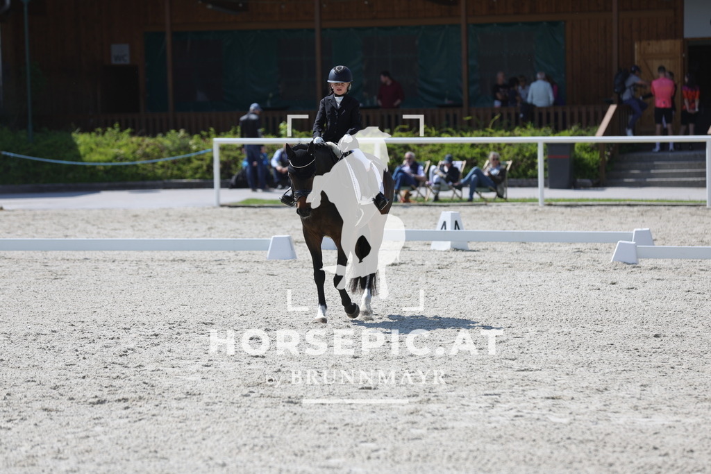 0P6A2182 | Willkommen bei Brunnmayr - Design & Fotografie – Ihrem Spezialisten für Reitturniere und Pferdeveranstaltungen in Oberösterreich, Salzburg und Bayern! Seit über 17 Jahren sind wir leidenschaftlich dabei.
