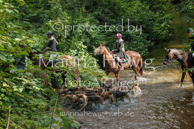 Jagd Perdoel_MarinaHewigMCH05044 | Fotografie, FotoArt, PferdesportArt, Pferdesportfotografie, Landschaftsfotografie, Reisefotografie, Reise, Pferde - Realisiert mit Pictrs.com