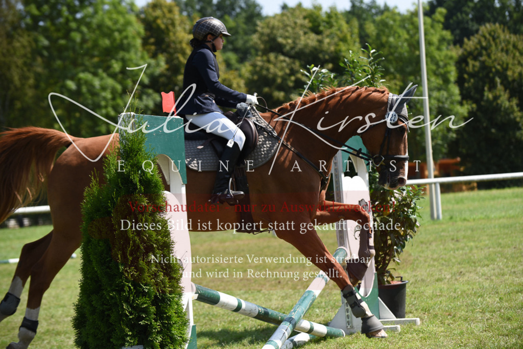 DSC_0085 | Pferde- und Turnierfotografie in Westsachsen. Pferdeportraits, Auftragszeichnungen und intuitive Kunst.