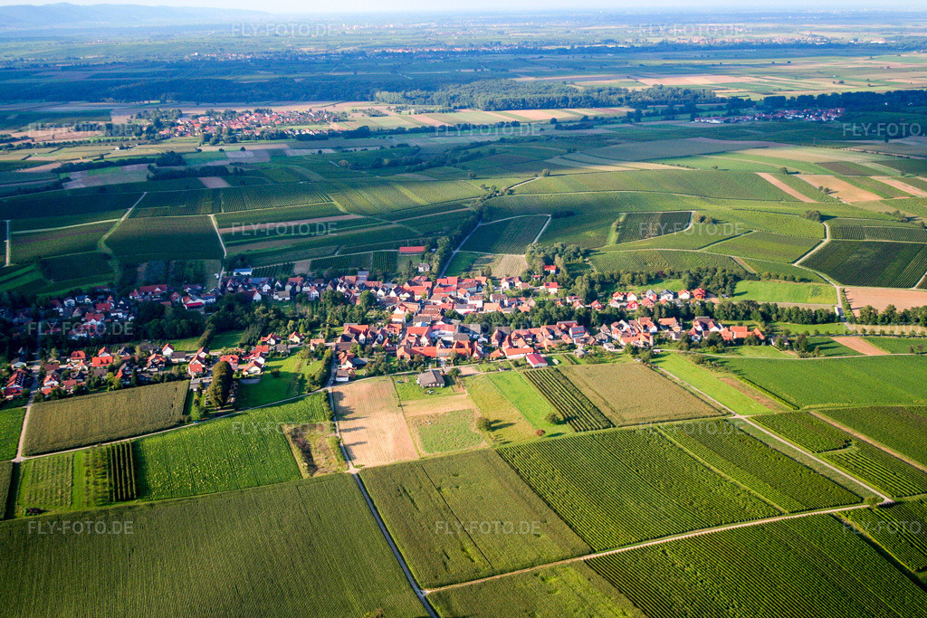 Luftbild: Dorf von Süden in Dierbach im Bundesland Rheinland-Pfalz in Deutschland. Foto: IMG_7271.jpg vom 25.08.2007 durch Werner Riehm/FLY-FOTO.de