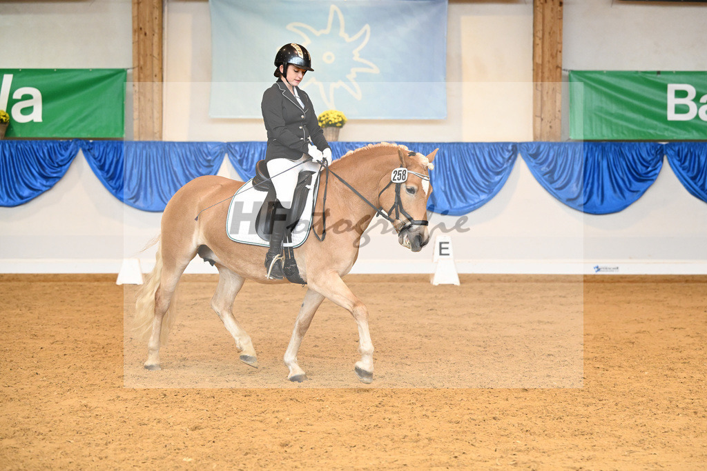 Kat-Nr. 258 Angel van de ARCA Hoeve_Redmann_54222008 | hf-fotografie - Realisiert mit Pictrs.com