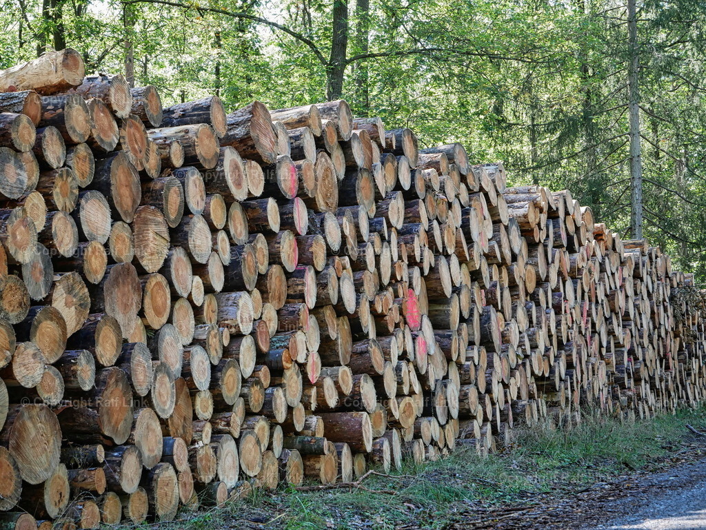 P1000303 | Stockfotos, Fotos mit Miniaturfiguren und kreativen Ideen. Dabei auch vieles aus der Metropolregion Rhein-Neckar. 