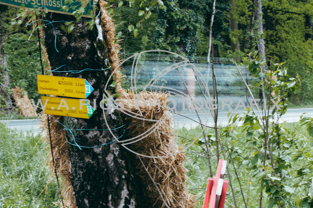 ..... | LANDSHAAG, 21.März.24 - Motorradbergrennen Landshaag, Image shows: 
Photo: WAPICS / Andreas Willdoner