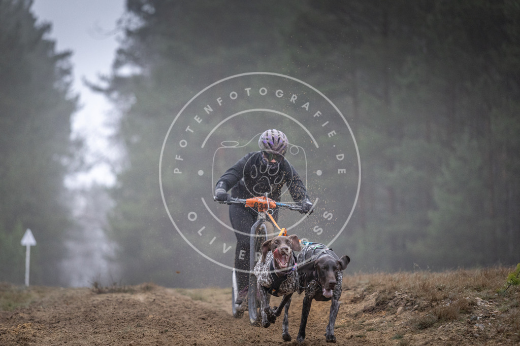 Pfotenfotografie_DV3A0727 | Hundefotografie, Tierfotograf, Pfotenfotografie, Fotoshooting Hund, Hunde Portrait, Hundesport, Hundeportraits, Heideshooting, Hunde, Sportfotograf, Hundefotograf, Turnierhundsport, THS,  - Realisiert mit Pictrs.com