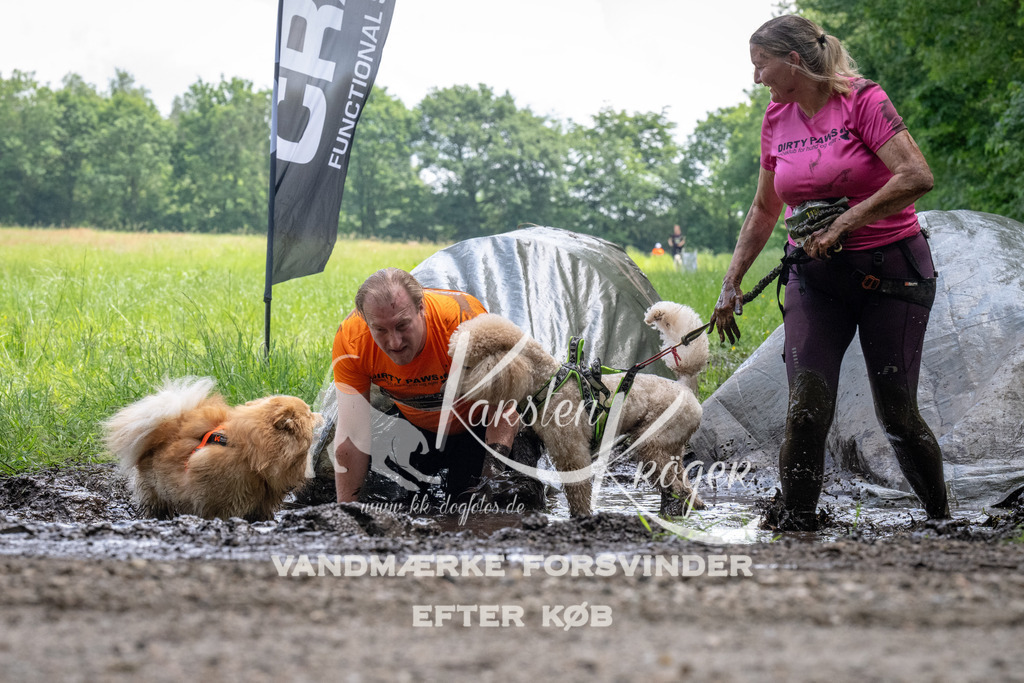 1143_ZZ94221 | kk-dogfotos