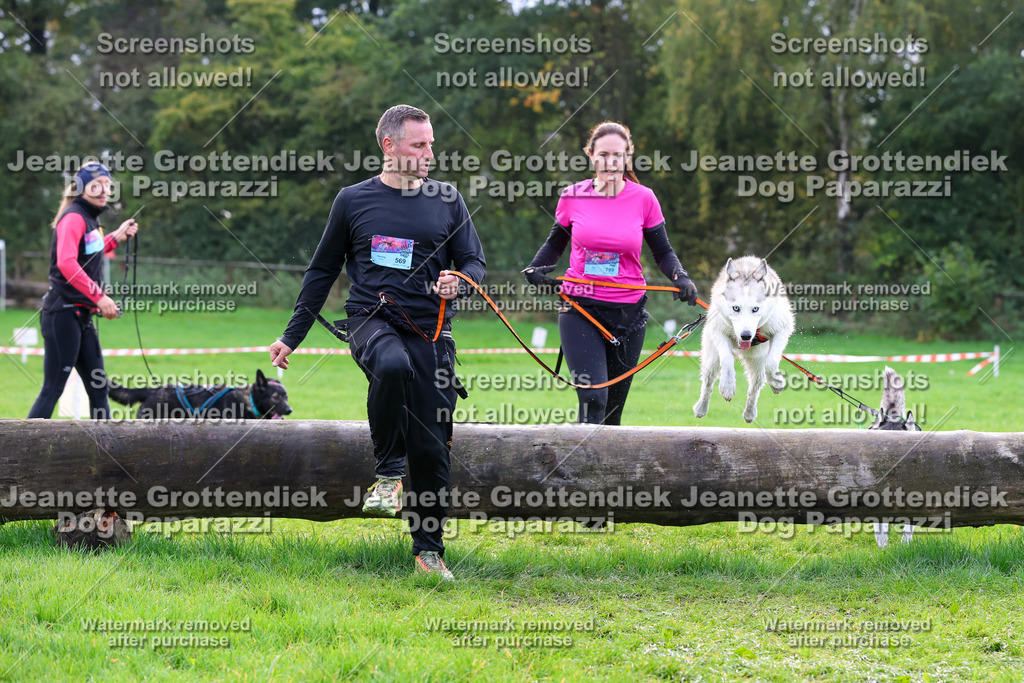 Dog Paparazzi -  SD1026-2220 | Dog Paparazzi Jeanette Grottendiek Fotografie & Videografie - Realisiert mit Pictrs.com