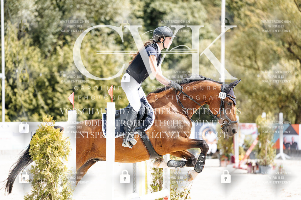 CK906619 | Turnierfotografie Pferdefotografie Trier Rheinland-Pfalz Pferdesport Reitsport Tierfotografie Sportfotografie Pferdevideo Pferdevideografie Equestrianvideography equestrianphotography  - Realisiert mit Pictrs.com