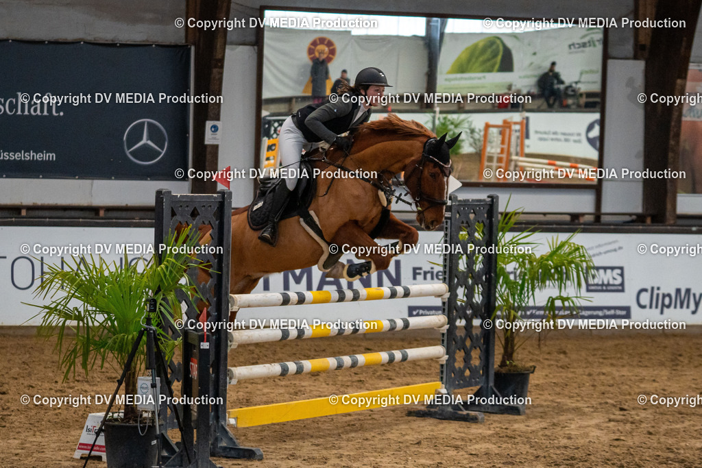 Kranichstein Tag 2-003 | dv-media-shop - Realisiert mit Pictrs.com