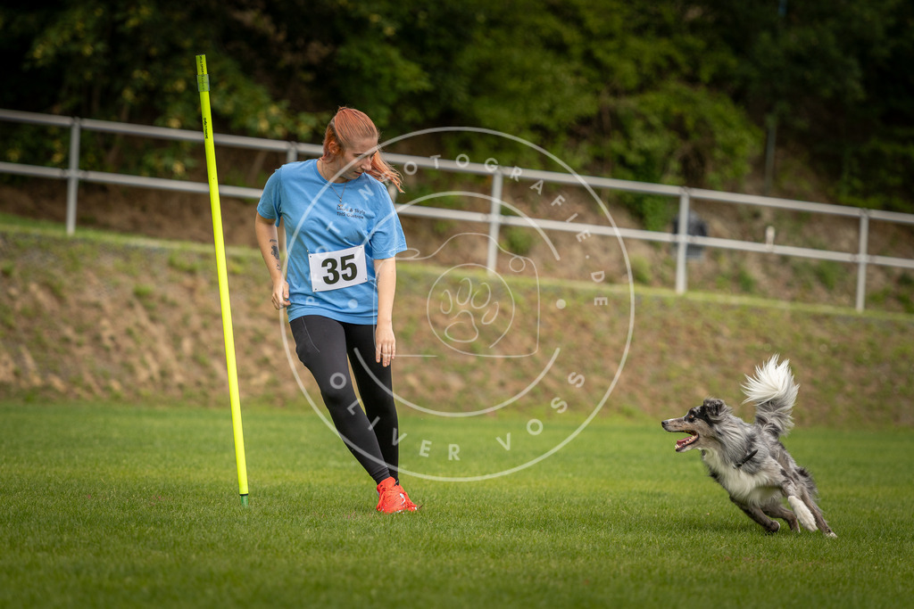 Pfotenfotografie_DV3A1831 | Hundefotografie, Tierfotograf, Pfotenfotografie, Fotoshooting Hund, Hunde Portrait, Hundesport, Hundeportraits, Heideshooting, Hunde, Sportfotograf, Hundefotograf, Turnierhundsport, THS,  - Realisiert mit Pictrs.com